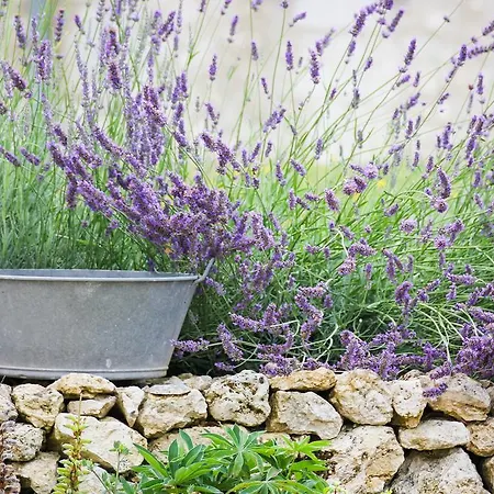 Prázdninový dům Domaine De Nazere