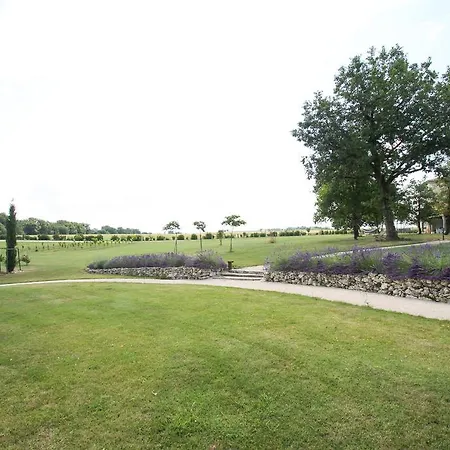 Domaine De Nazere