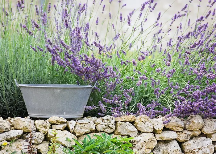 Casa de Férias Domaine De Nazere